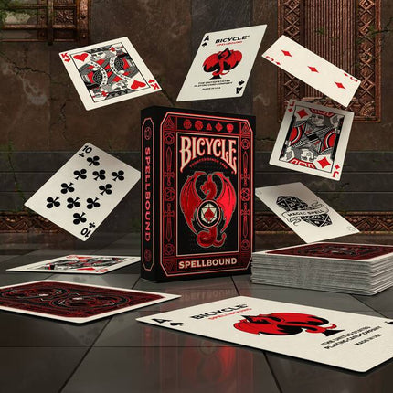 Collection image for: Bicycle
