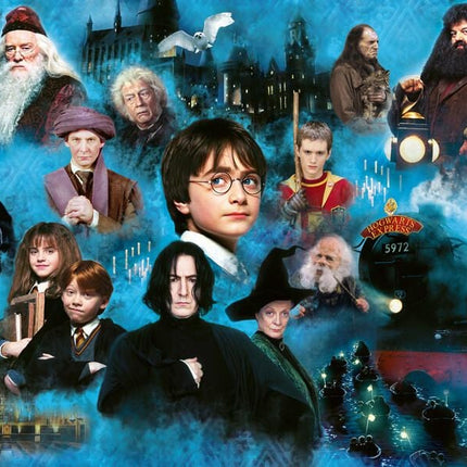 Collection image for: Harry Potter