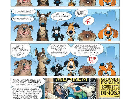 Boule & Bill - Tome 33 - À l'abordage !