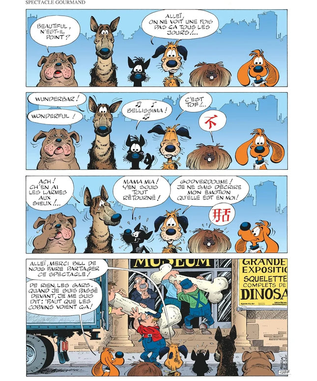 Boule & Bill - Tome 33 - À l'abordage !