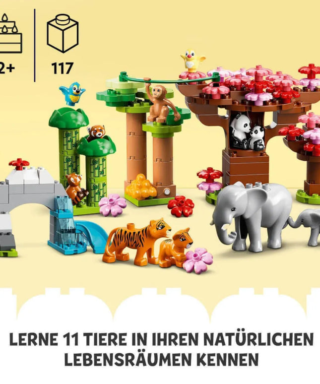 woo_src:https://ludibrium.ch/wp-content/uploads/2025/01/10974.10.jpg