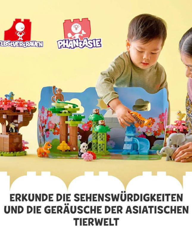 woo_src:https://ludibrium.ch/wp-content/uploads/2025/01/10974.9.jpg