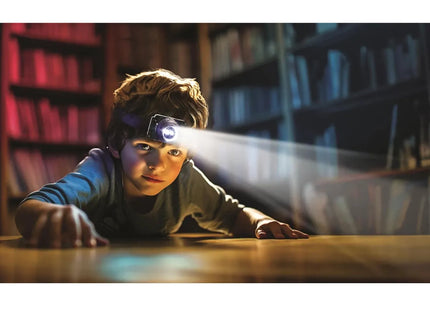 woo_src:https://ludibrium.ch/wp-content/uploads/2025/04/123463.4.jpg