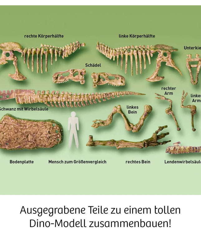 woo_src:https://ludibrium.ch/wp-content/uploads/2022/03/159_54.jpg