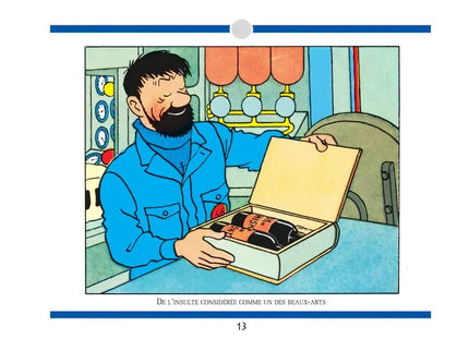 Tim und Struppi - L'Intégrale des jurons du Capitaine Haddock: Le Haddock illustré - livre d'occasion