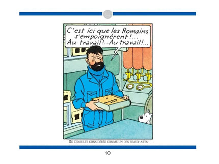 Tim und Struppi - L'Intégrale des jurons du Capitaine Haddock: Le Haddock illustré - livre d'occasion