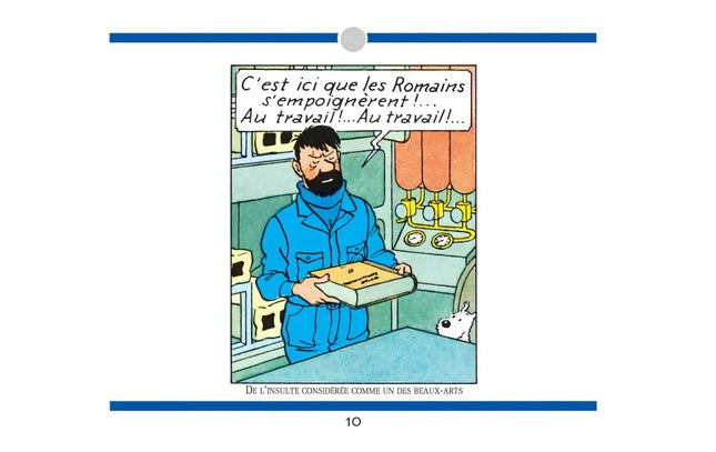 Tim und Struppi - L'Intégrale des jurons du Capitaine Haddock: Le Haddock illustré - livre d'occasion