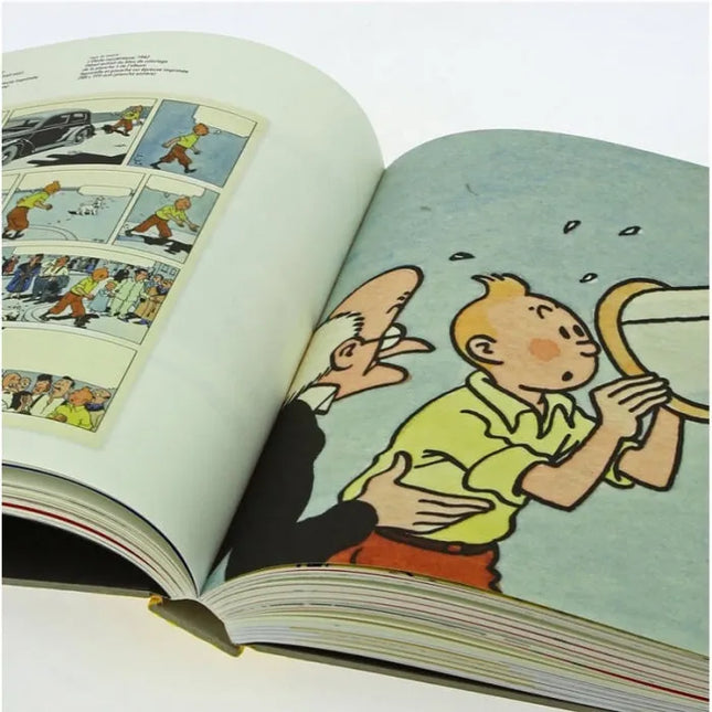 Tim und Struppi - Tintin et Milou - Catalogue de l'exposition Hergé au Grand Palais Tintin