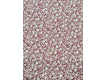 Weiss Rot Blumen