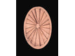 Oval