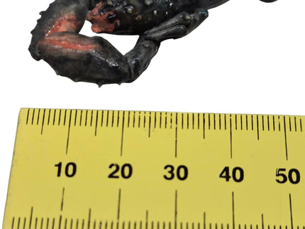 Ganzer Hummer 1:12 – für das Puppenhaus