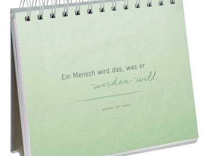 woo_src:https://ludibrium.ch/wp-content/uploads/2023/03/458.5.jpg