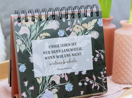 woo_src:https://ludibrium.ch/wp-content/uploads/2023/03/518.6.jpg