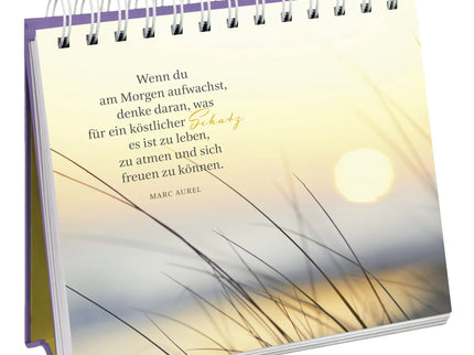 woo_src:https://ludibrium.ch/wp-content/uploads/2023/03/533.2.jpg