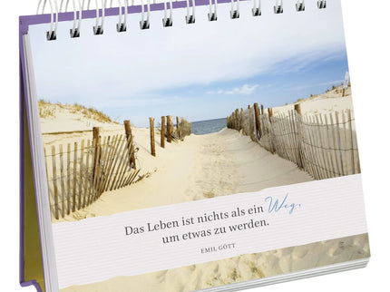 woo_src:https://ludibrium.ch/wp-content/uploads/2023/03/533.5.jpg