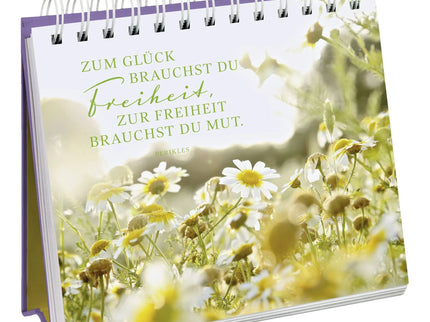woo_src:https://ludibrium.ch/wp-content/uploads/2023/03/533.6.jpg