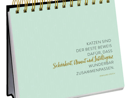 woo_src:https://ludibrium.ch/wp-content/uploads/2023/03/589.3.jpg