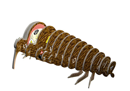 Eugy - 3D Bastelset Brauner Kiwi