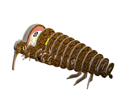 Eugy - 3D Bastelset Brauner Kiwi