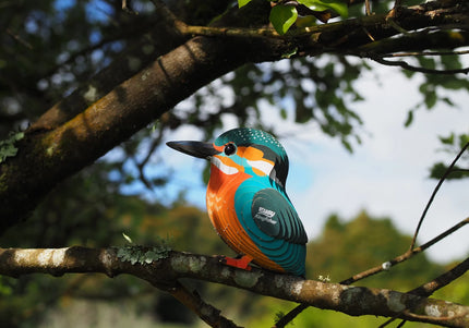 Eugy - 3D Bastelset Eisvogel