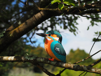 Eugy - 3D Bastelset Eisvogel
