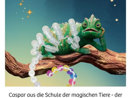 woo_src:https://ludibrium.ch/wp-content/uploads/2025/09/658281.2.png