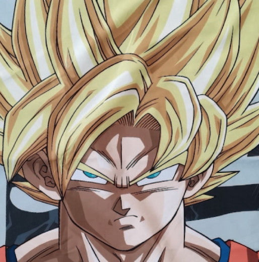 Dragonball: Stoffposter / Flagge 125 x 85 cm