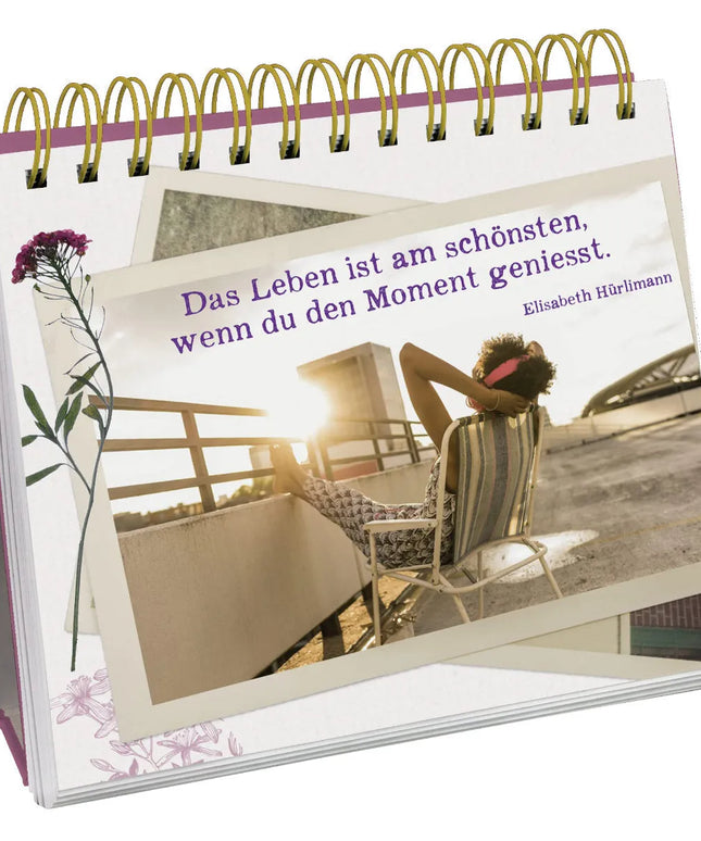 woo_src:https://ludibrium.ch/wp-content/uploads/2023/03/741.2.jpg