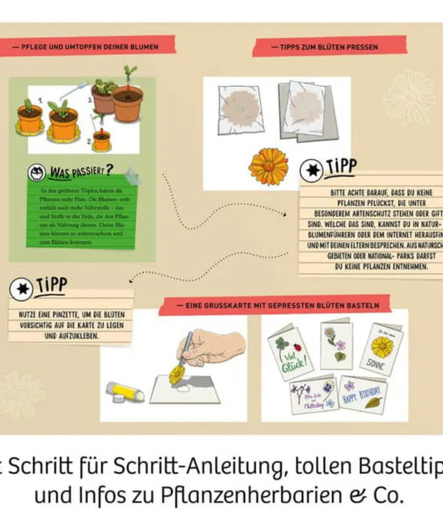 woo_src:https://ludibrium.ch/wp-content/uploads/2023/08/80659.5.jpg