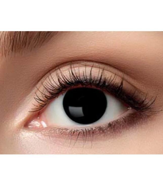 woo_src:https://ludibrium.ch/wp-content/uploads/2023/06/812-Blind-Black.jpg