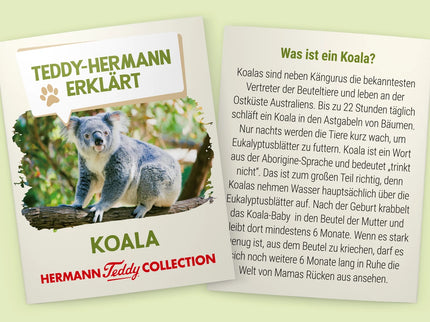 Teddy-Hermann Koalabär 21cm  – realistisches Kuscheltier