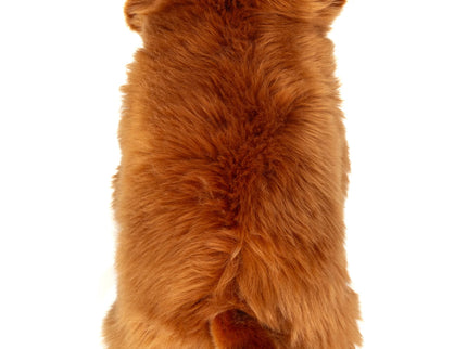 Teddy-Hermann Hochlandrind 28 cm – realistisches Kuscheltier