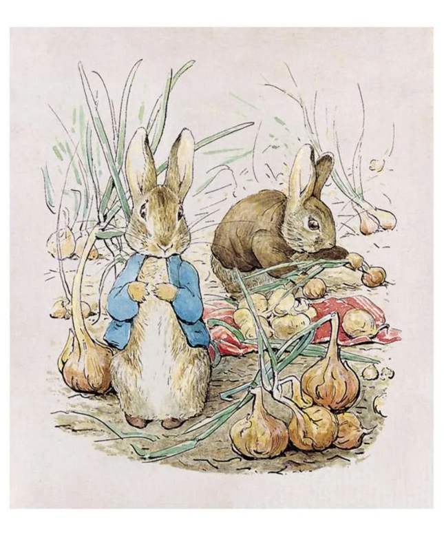 The Tale of Benjamin Bunny, Volume 4 - occasion book