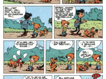 Boule & Bill - Tome 9 - Une vie de chien Jean Roba Dupuis 1977