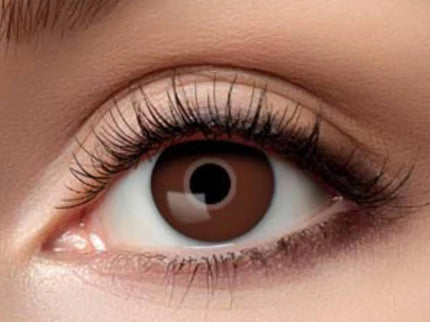 woo_src:https://ludibrium.ch/wp-content/uploads/2026/01/Brown-Eye-626.jpg