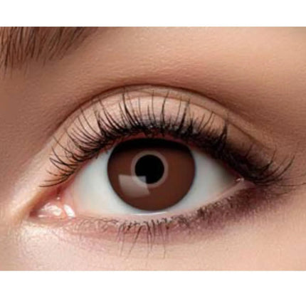 woo_src:https://ludibrium.ch/wp-content/uploads/2026/01/Brown-Eye-626.jpg