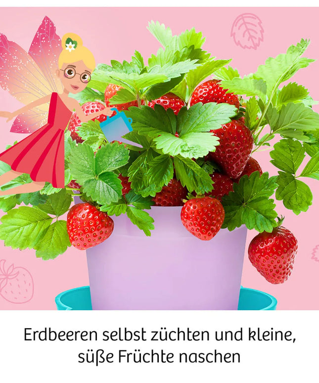 woo_src:https://ludibrium.ch/wp-content/uploads/2021/05/Feen_54.jpg