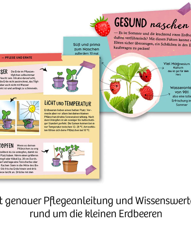 woo_src:https://ludibrium.ch/wp-content/uploads/2021/05/Feen_55.jpg