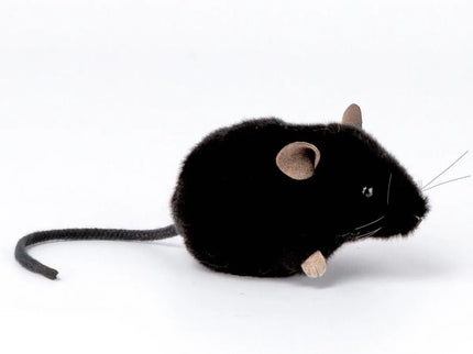 woo_src:https://ludibrium.ch/wp-content/uploads/2020/06/Maus.50.jpg