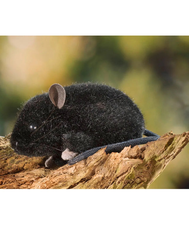 woo_src:https://ludibrium.ch/wp-content/uploads/2020/06/Maus51.jpg