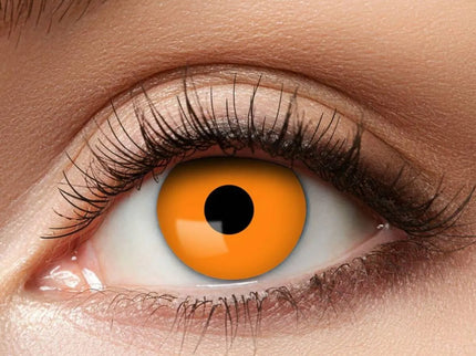 woo_src:https://ludibrium.ch/wp-content/uploads/2026/01/Orange-666.jpg