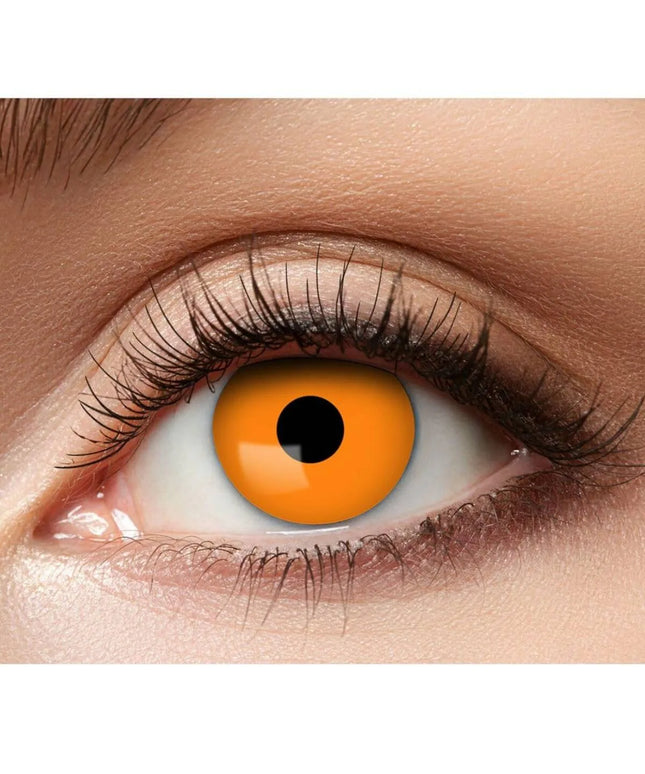 woo_src:https://ludibrium.ch/wp-content/uploads/2026/01/Orange-666.jpg