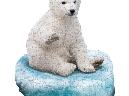 woo_src:https://ludibrium.ch/wp-content/uploads/2021/03/Polar_51.png