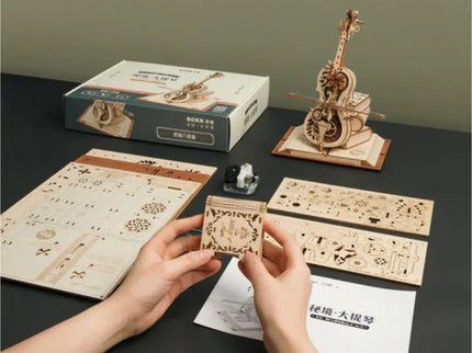 woo_src:https://ludibrium.ch/wp-content/uploads/2023/11/Rokr-Magic_Cello_4_AMK63.jpg