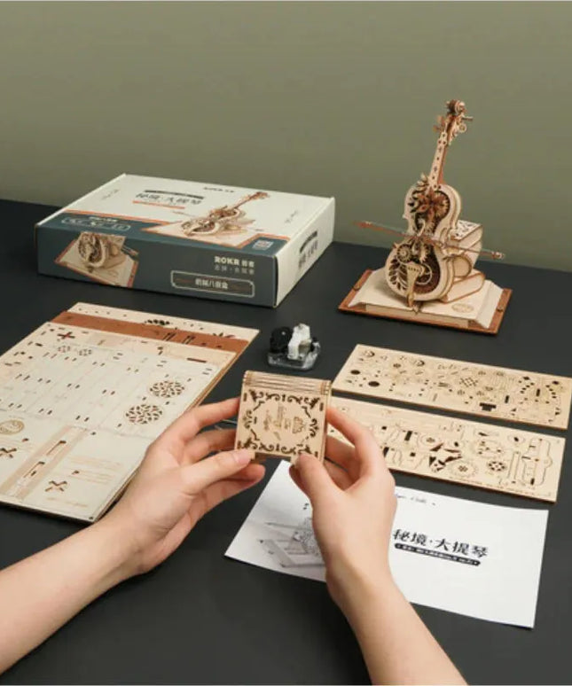 woo_src:https://ludibrium.ch/wp-content/uploads/2023/11/Rokr-Magic_Cello_4_AMK63.jpg