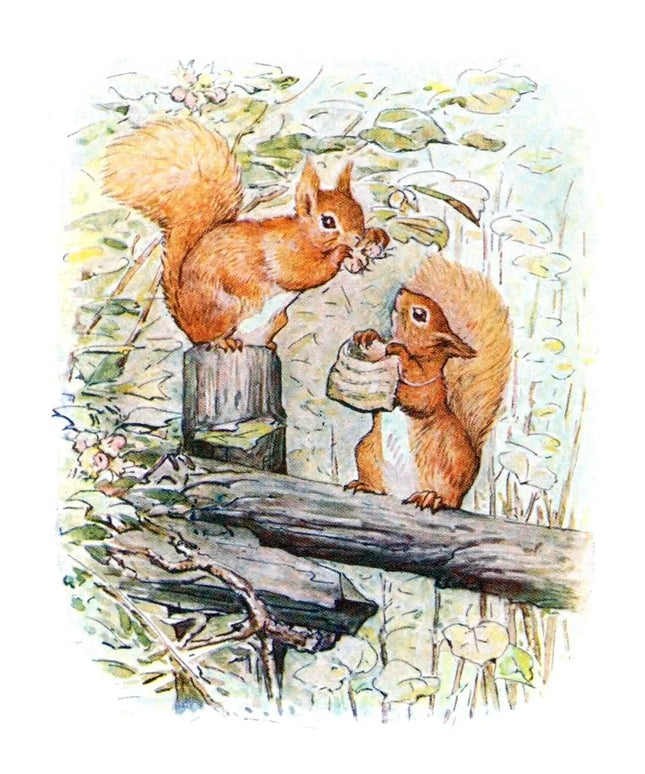 The Tale of Squirrel Nutkin by Beatrix Potter, Volume 2 - occasion book