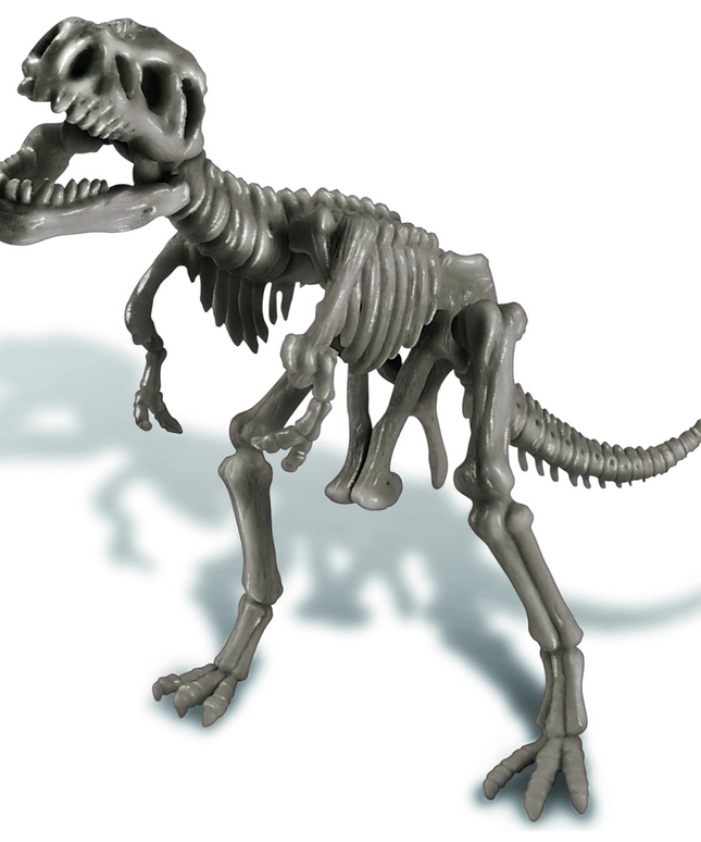 woo_src:https://ludibrium.ch/wp-content/uploads/2021/07/T-Rex_51.png