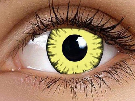 woo_src:https://ludibrium.ch/wp-content/uploads/2026/01/Twilight-Yellow.jpg