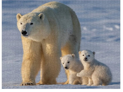 woo_src:https://ludibrium.ch/wp-content/uploads/2025/09/WWF1004.1.jpg
