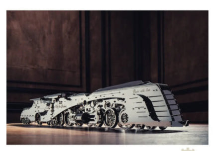 woo_src:https://ludibrium.ch/wp-content/uploads/2020/01/dazzling-Steamliner-3d-meta-1.jpg